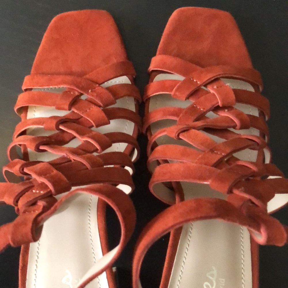 Gorgeous Rust Color Heels